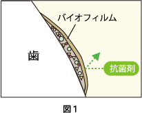 歯のクリーニングについて図1