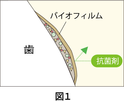 歯のクリーニングについて図1